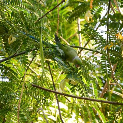 Photo #10458555