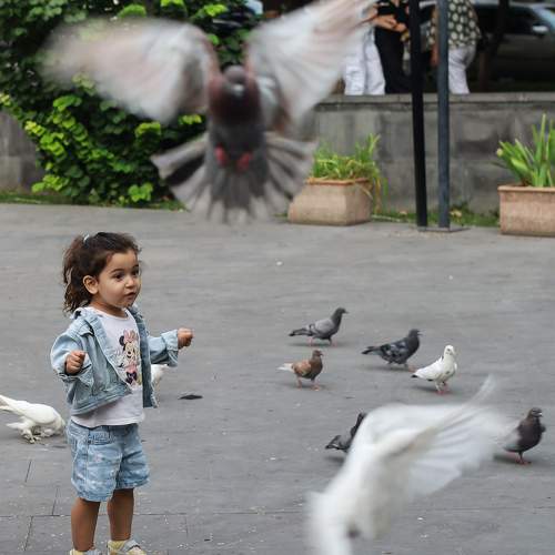 Photo #10458642