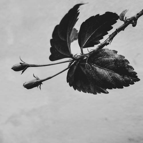 In solitary