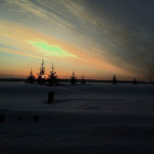 Photo #10458812