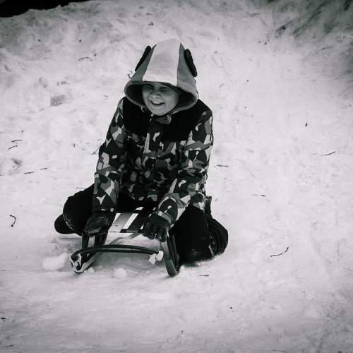 Photo #10459013