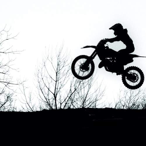Photo #10459048