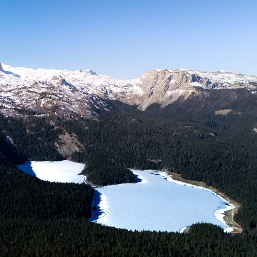 Photo #10459129