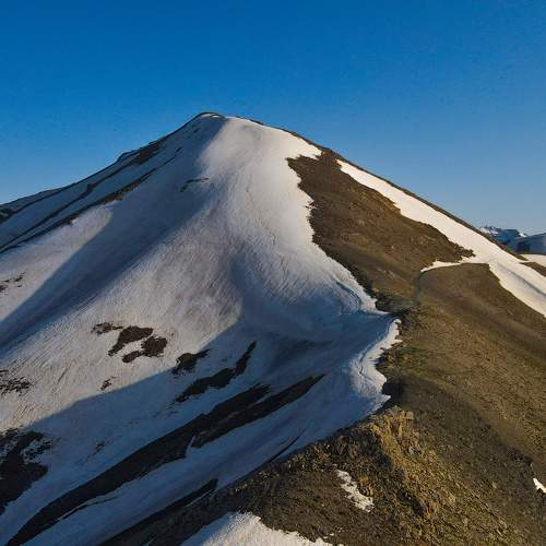 Photo #10459181