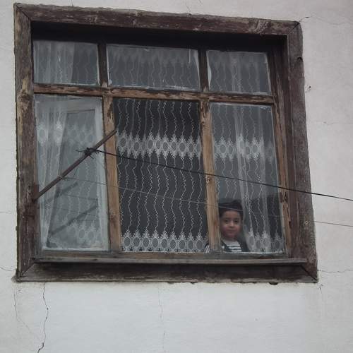 Photo #10459290