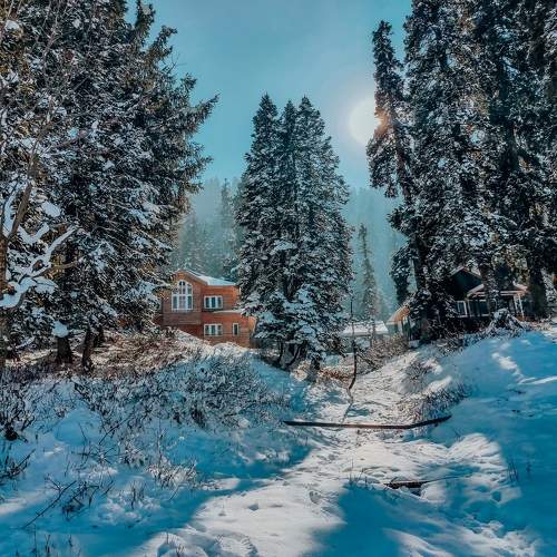 Photo #10459306