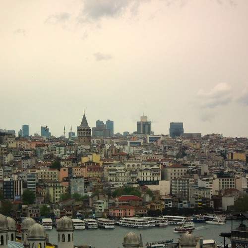 Photo #10459370
