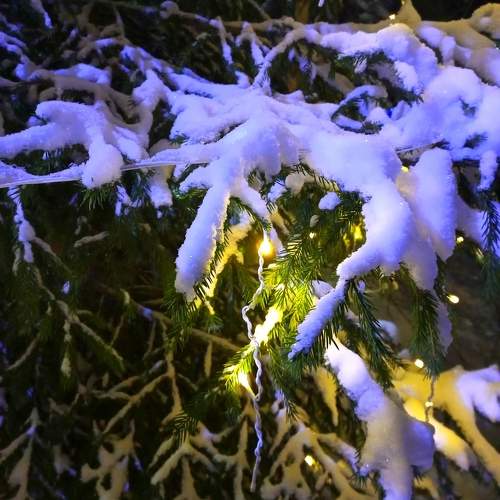 Photo #10459408