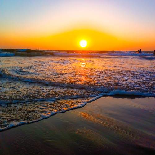 Photo #10459545