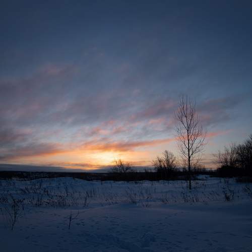 Photo #10459633