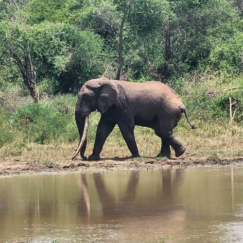 Photo #10459756