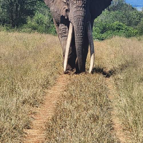 Photo #10459757