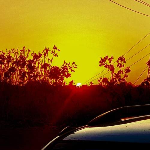 Photo #10459794
