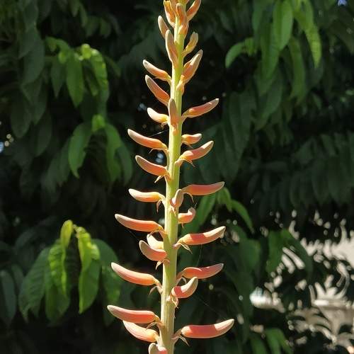 Photo #10460082