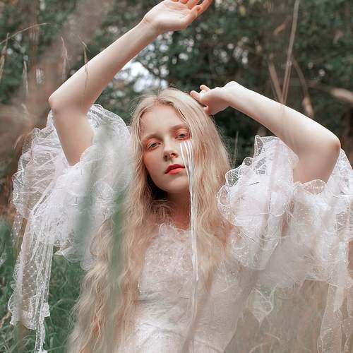 Photo #10460112