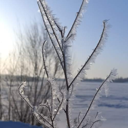 Photo #10460172