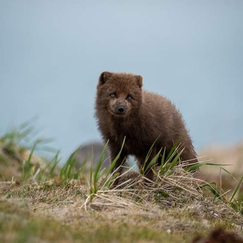 Photo #10460463