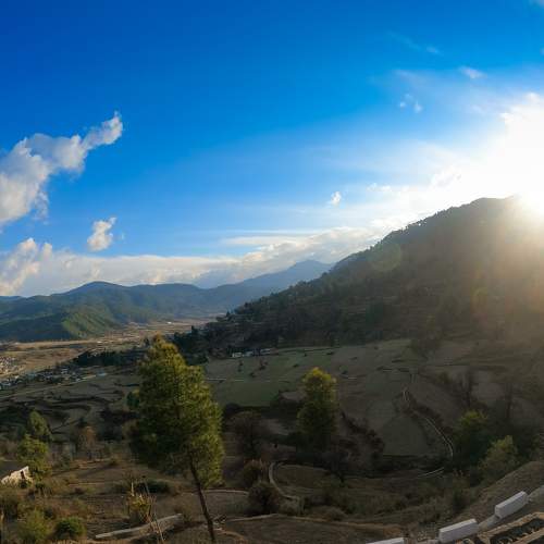 Photo #10460542
