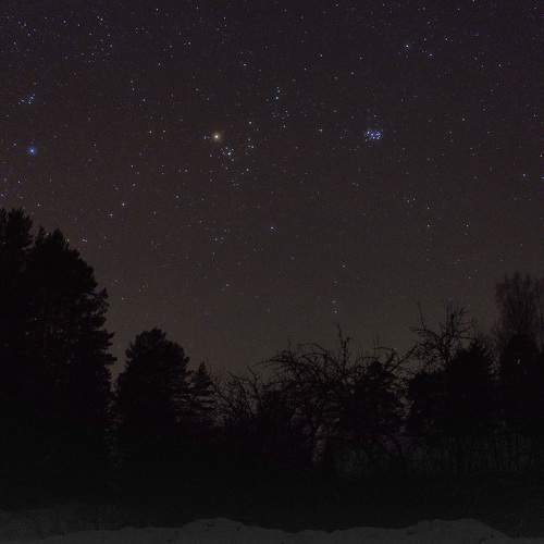 Photo #10460834