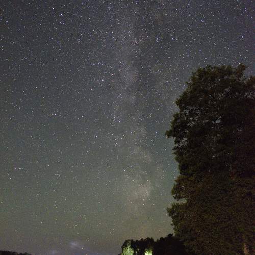 Photo #10460838