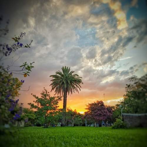 Photo #10461443