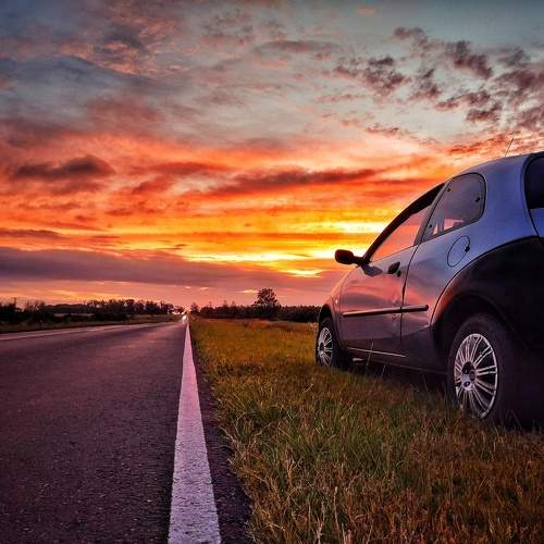 Photo #10461444
