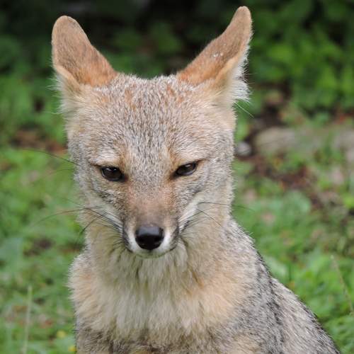 Photo #10461461