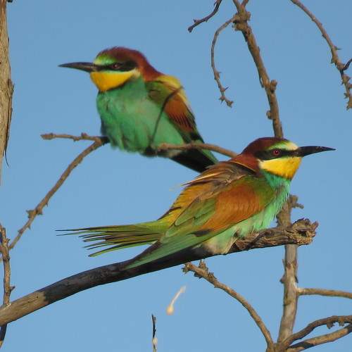 Photo #10461518