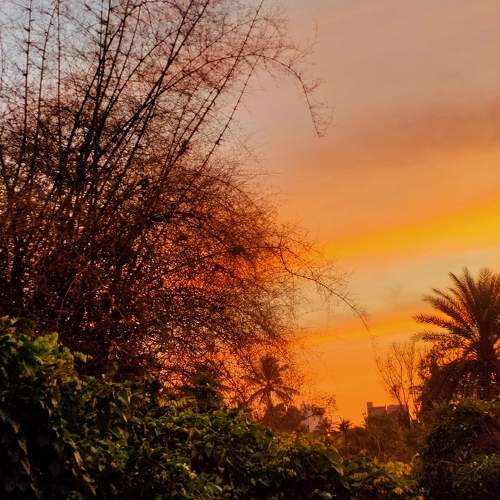 Beautiful Sunset