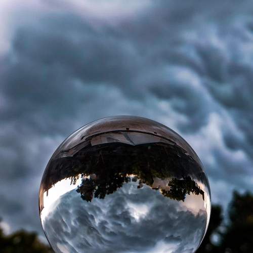 Photo #10461583