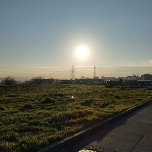 Photo #10461589