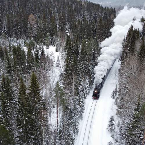 Photo #10461723