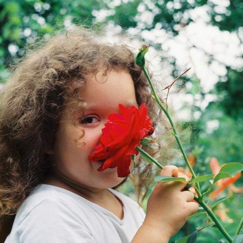 Photo #10461795