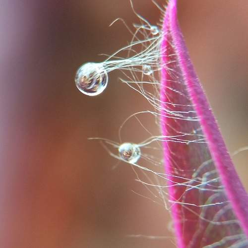 Photo #10461924