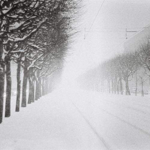 Photo #10461951