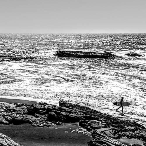Photo #10462084