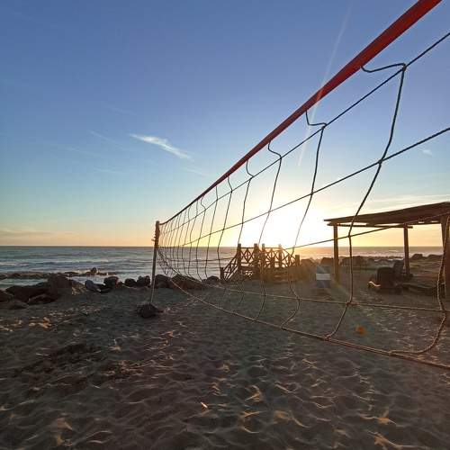 Photo #10462364