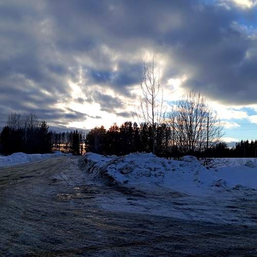 Photo #10462382