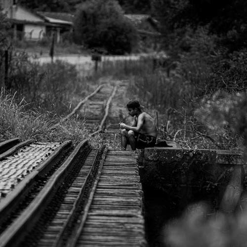 Photo #10462508
