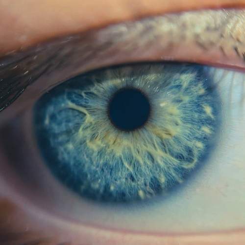 Photo #10462628