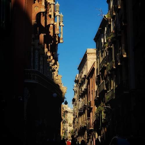 Photo #10462742