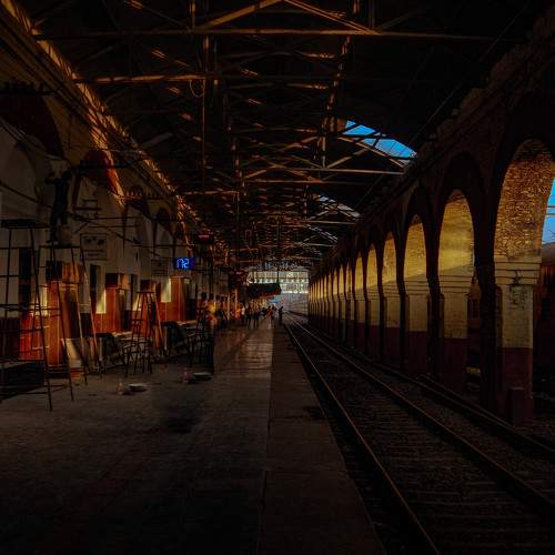 Photo #10462814