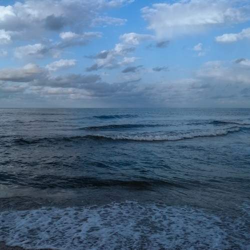 Photo #10463042