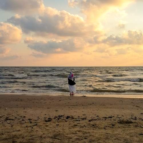 Photo #10463051