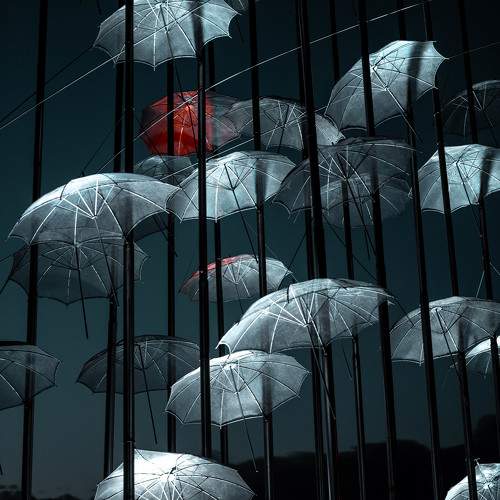 Photo #10463233