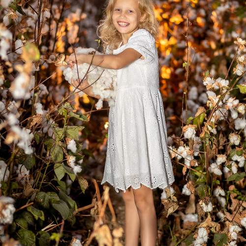 Photo #10463238