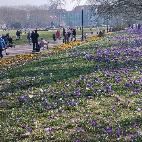 Photo #10463300