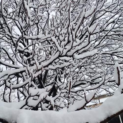 Photo #10463443