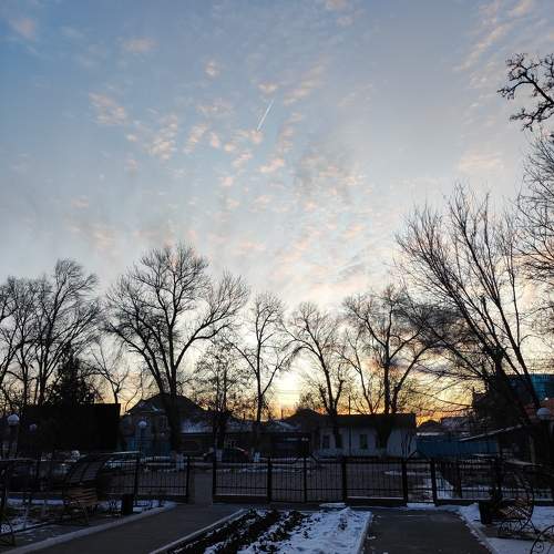 Photo #10463449