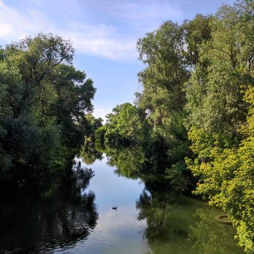 Photo #10463450